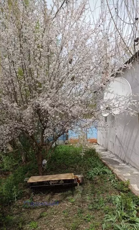 Дом в Самарская область, Самара Трехгорная ул., 21 (54 м) - Фото 0