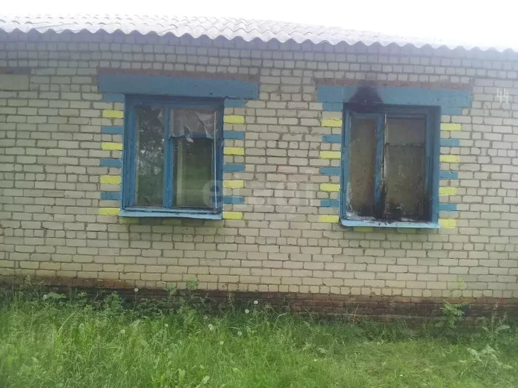 Дом в село Синие Липяги, улица Автоматчиков (57.2 м) - Фото 1