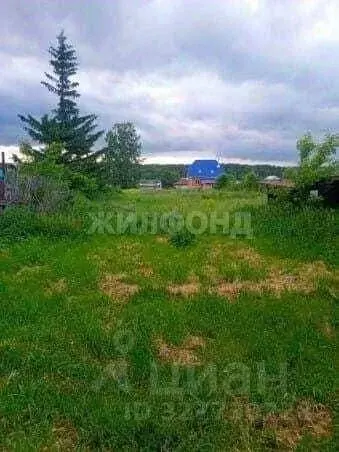 Участок в Новосибирская область, Новосибирский район, с. Барышево ул. ... - Фото 2