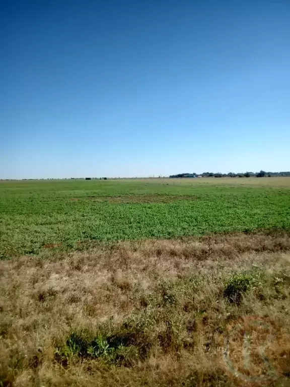 Участок в Крым, Сакский район, с. Штормовое  (6.0 сот.) - Фото 2