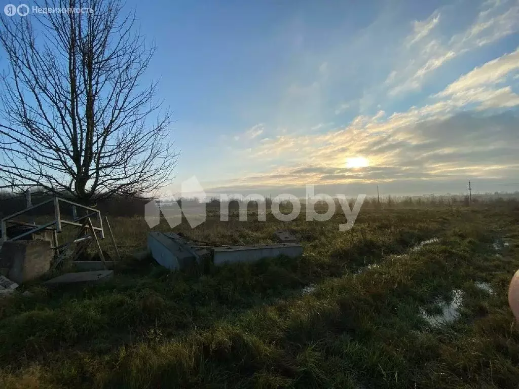 Участок в Калининградская область, Гурьевский муниципальный округ, ... - Фото 2