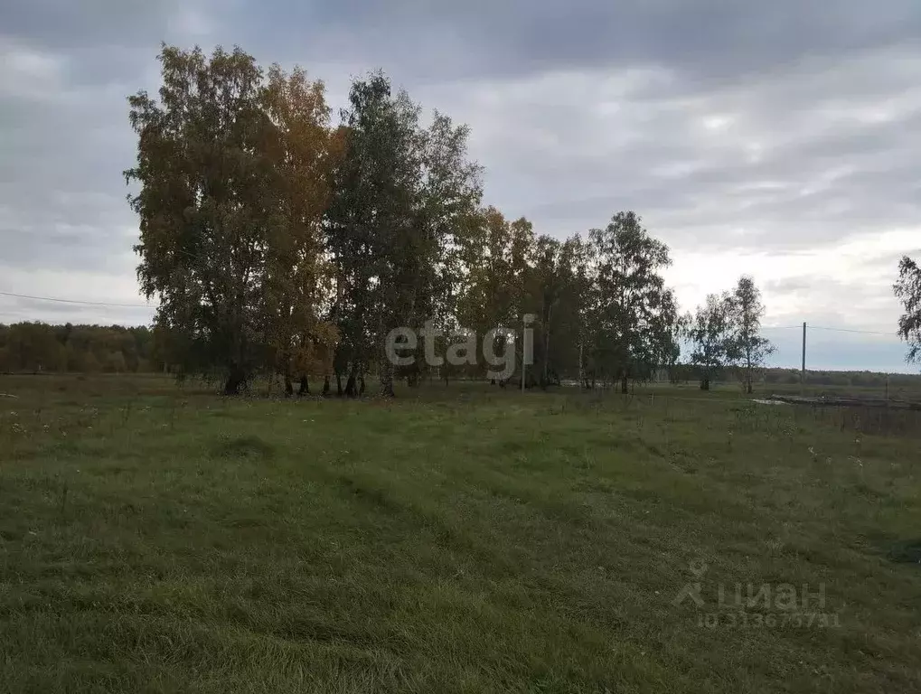 Участок в Новосибирская область, Новосибирский район, Верх-Тулинский ... - Фото 1