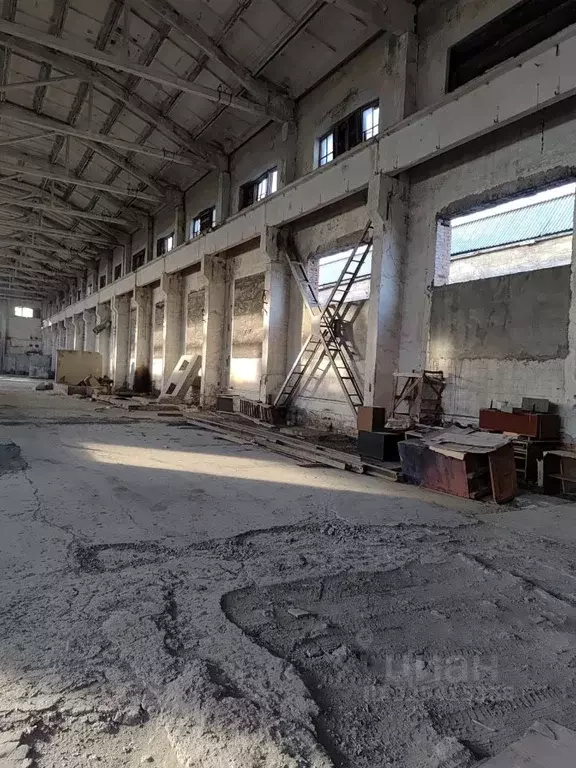 Помещение свободного назначения в Алтайский край, Бийск ... - Фото 2