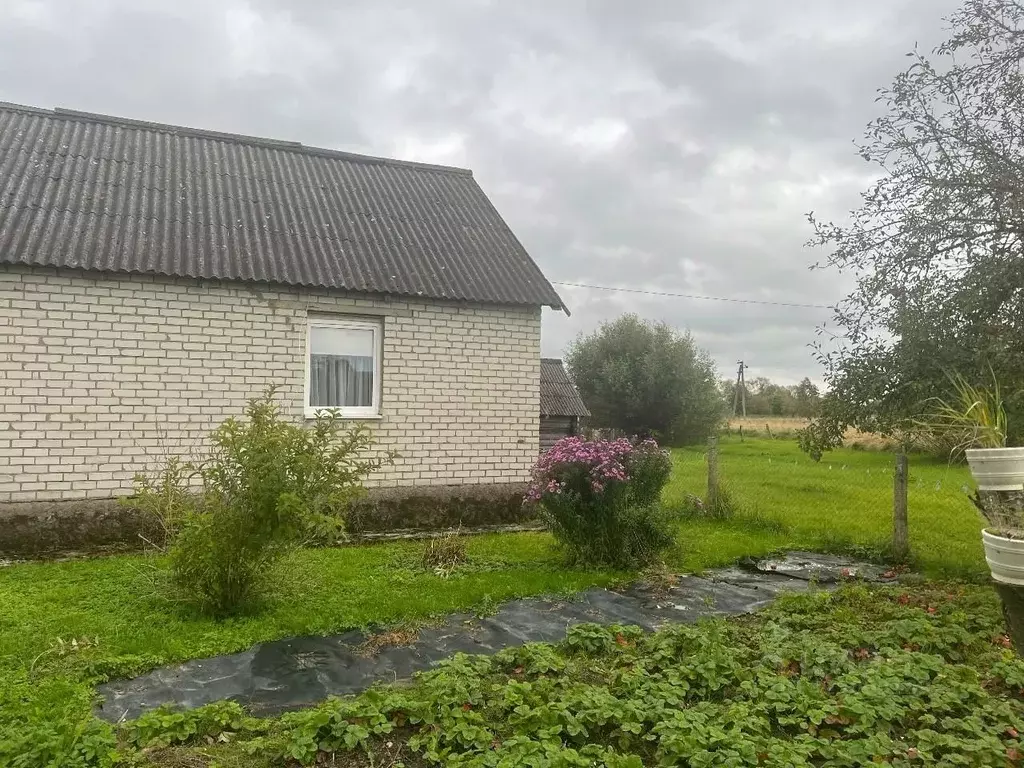 Дом в Калининградская область, Черняховский муниципальный округ, пос. ... - Фото 1