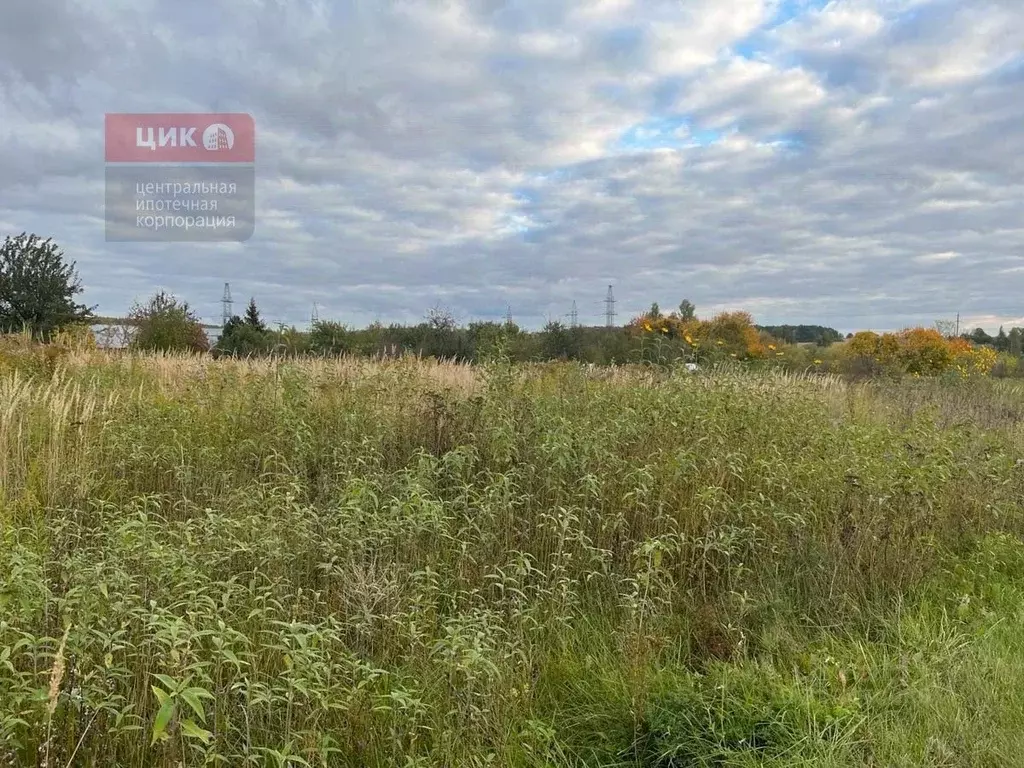 Участок в Рязанская область, Рязанский муниципальный округ, ... - Фото 1