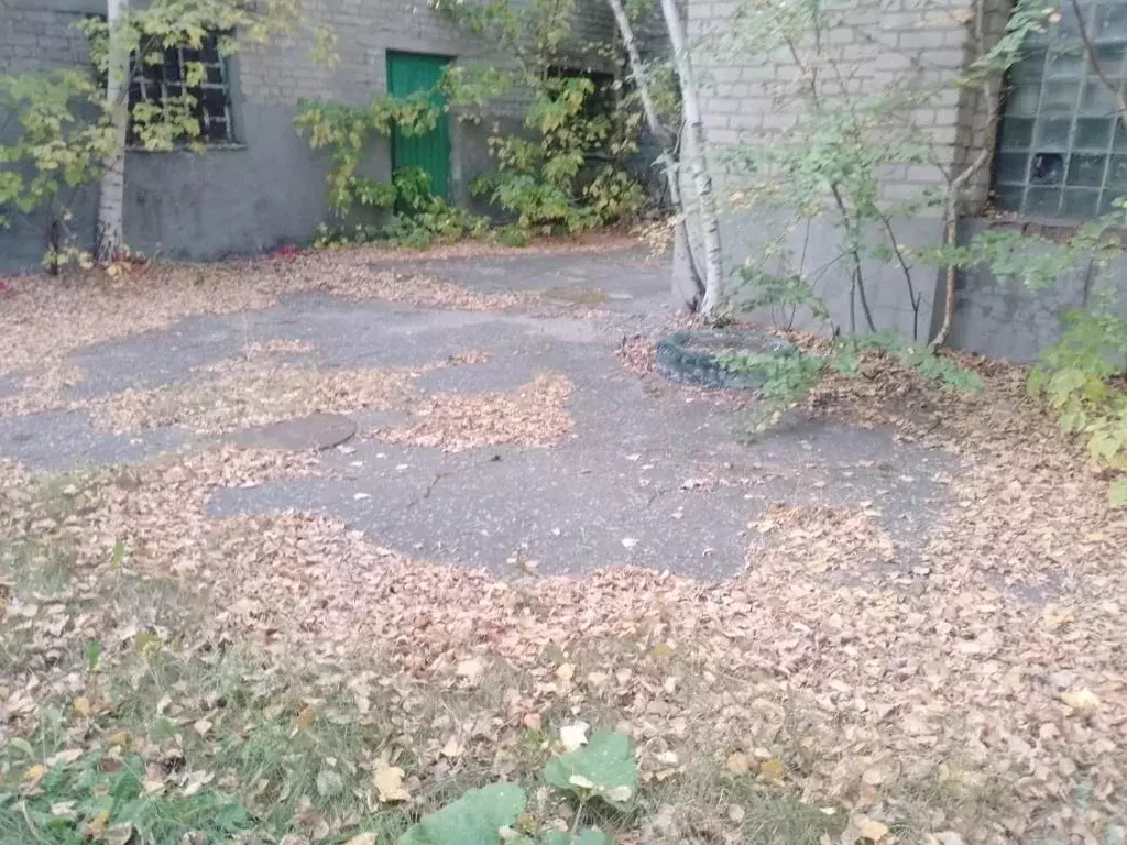 Помещение свободного назначения в Воронежская область, Воронеж ул. ... - Фото 1