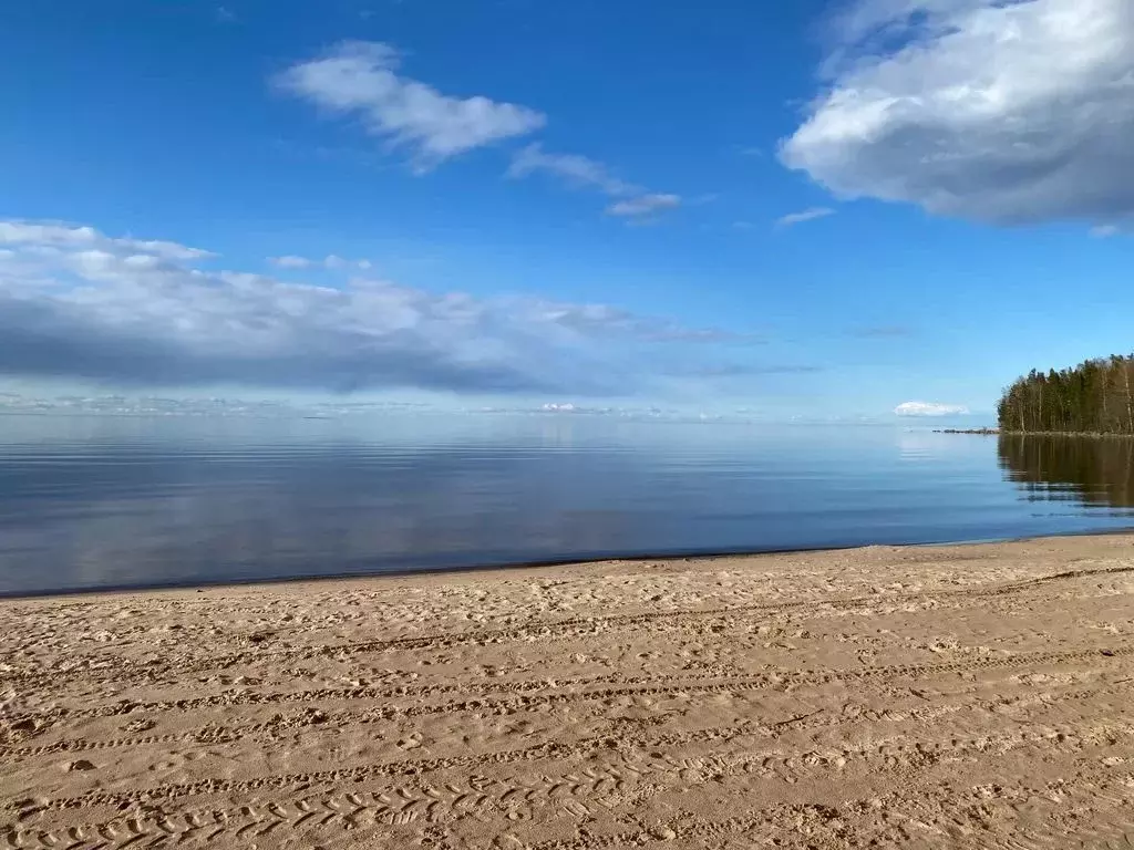 Дом в Ленинградская область, Приозерский район, Ларионовское с/пос, ... - Фото 0