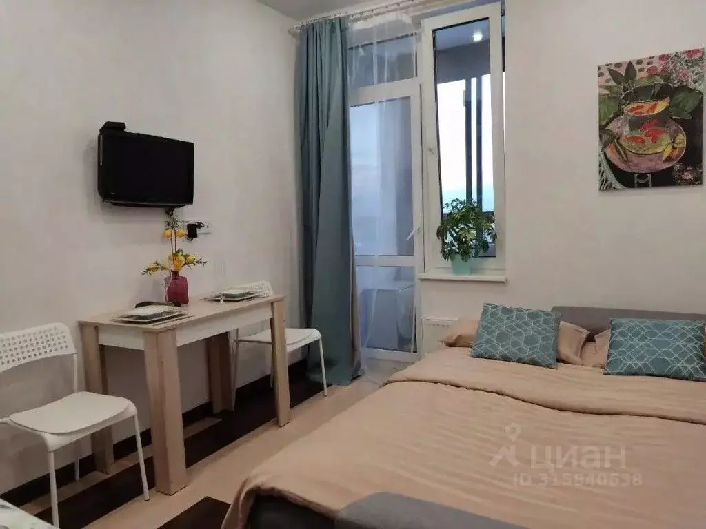 1-к кв. Московская область, Мытищи ул. Академика Каргина, 25 (21.0 м) - Фото 1