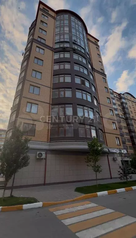 1-к. квартира, 55,6 м, 9/12 эт. - Фото 1
