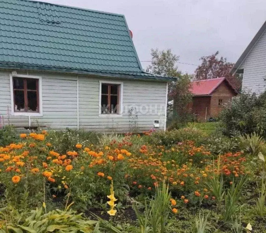 Дом в Новосибирская область, Новосибирский район, Плотниковский ... - Фото 0