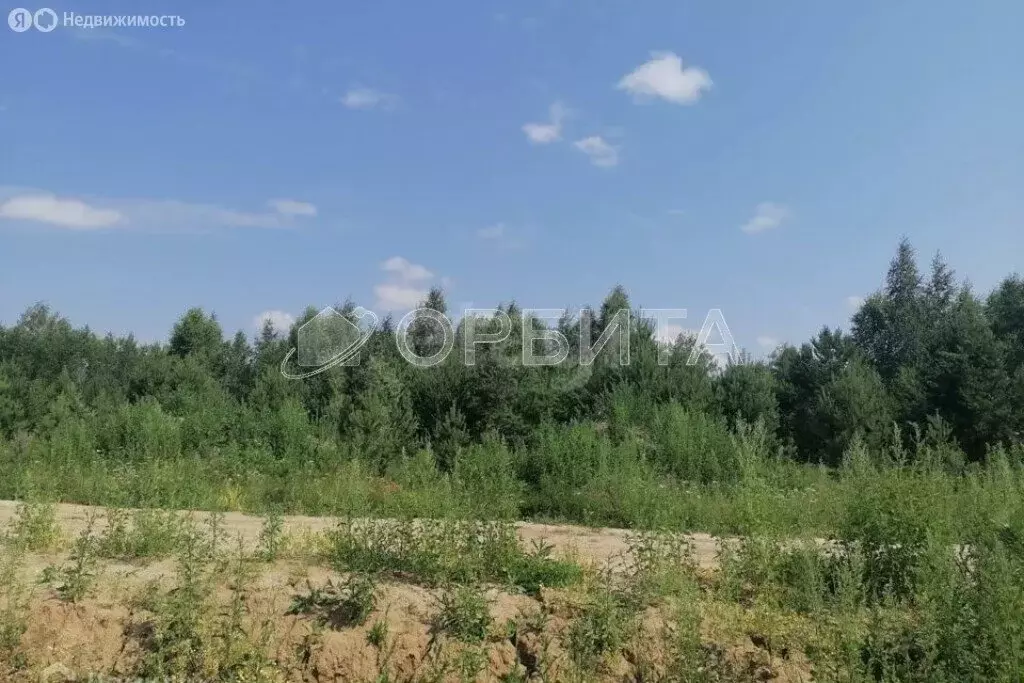 Участок в село Нижняя Тавда, Берёзовая улица, 11 (10 м) - Фото 1