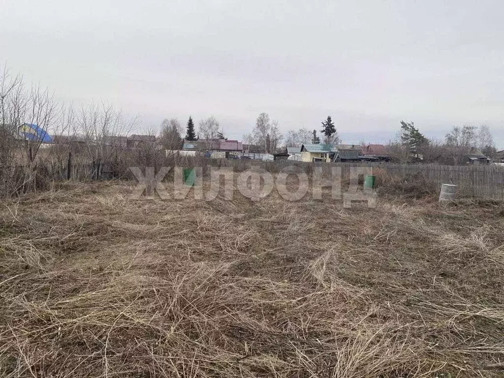 Участок в Новосибирская область, Новосибирский район, Криводановский ... - Фото 0