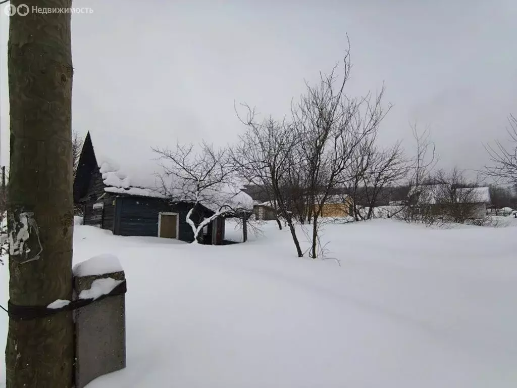 Участок в Нижний Новгород, СНТ № 3, 168 (5 м) - Фото 1