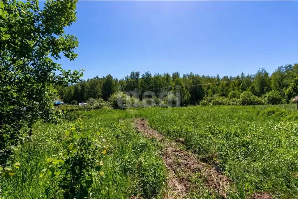Участок в Тюменская область, Нижнетавдинский муниципальный округ, ... - Фото 0