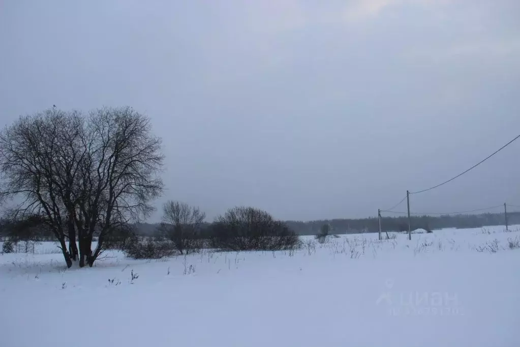 Участок в Московская область, Шаховская муниципальный округ, д. Ядрово ... - Фото 0