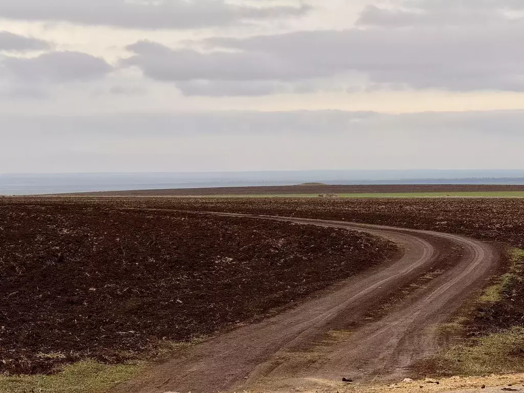 Участок в Крым, Черноморский район, с. Межводное ул. Ленина (8.0 сот.) - Фото 0