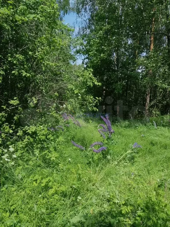 Участок 1,02 га (СНТ, ДНП) - Фото 1