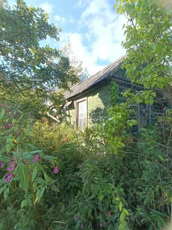 Участок в Тверь, садовое товарищество Дружба, 9 (6.1 м) - Фото 1