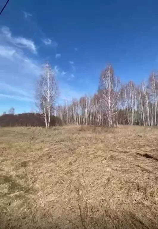 Участок в Новосибирская область, Коченевский район, Ветеран-1 ДНТ 742 ... - Фото 0