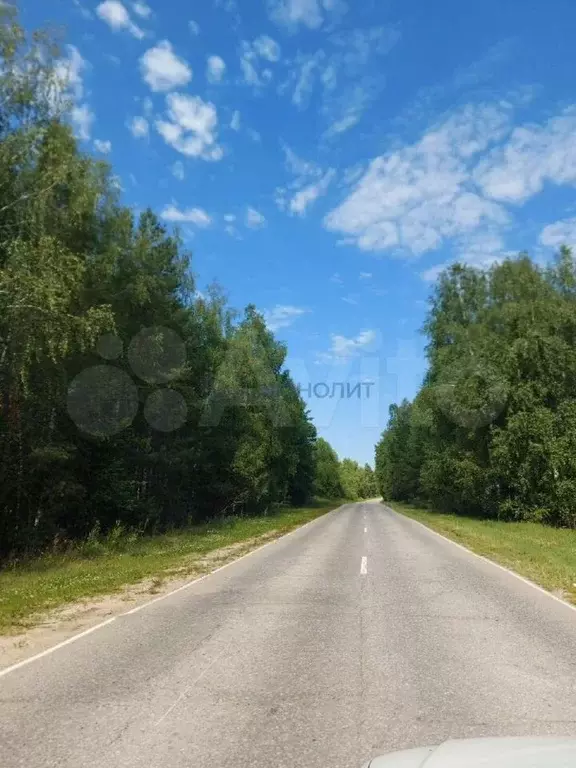 Участок 25 сот. (ИЖС) - Фото 1