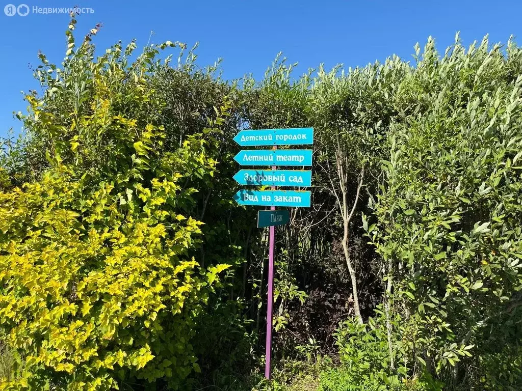 Участок в Московская область, городской округ Клин, ДП Рижские дачи, ... - Фото 1