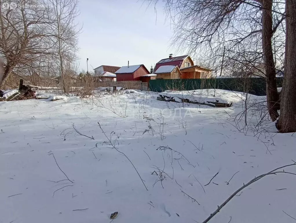 Участок в Новосибирск, СНТ Строймашевец, 405 (12 м) - Фото 2