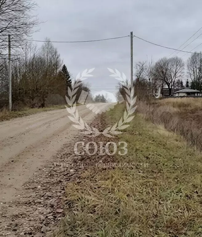 Участок в Калужская область, Боровский муниципальный округ, д. Тюнино ... - Фото 2