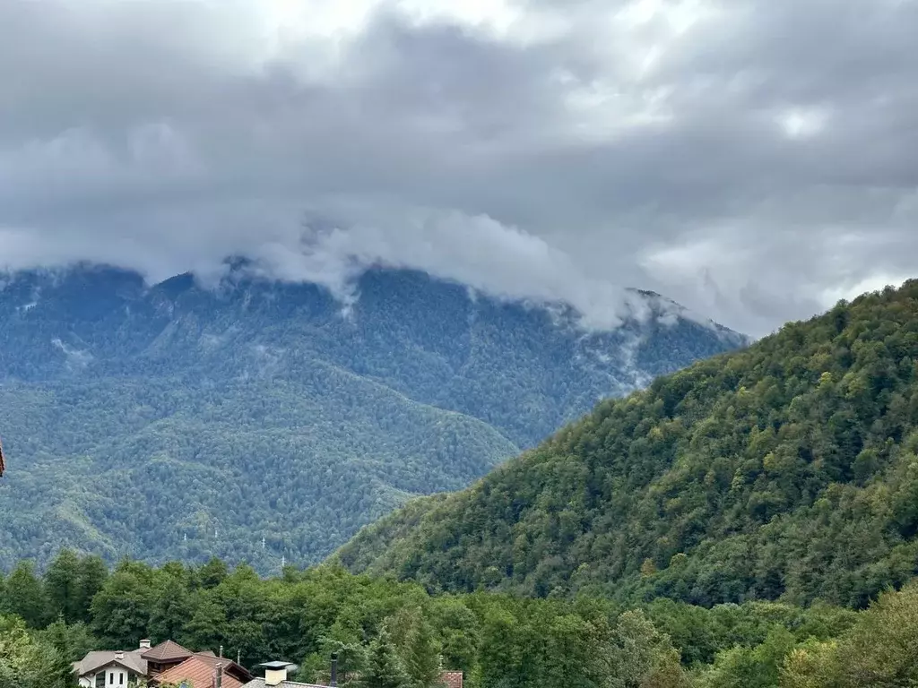 Участок в Краснодарский край, Сочи Красная Поляна пгт, ул. Светлая ... - Фото 2