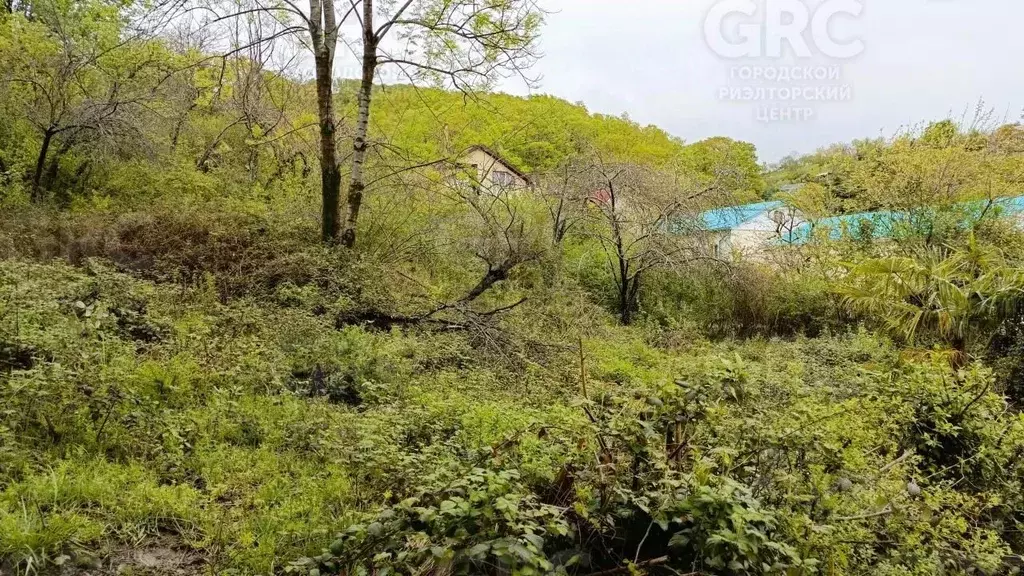 Участок в Краснодарский край, Сочи А-147, 134-й км (4.09 сот.) - Фото 1