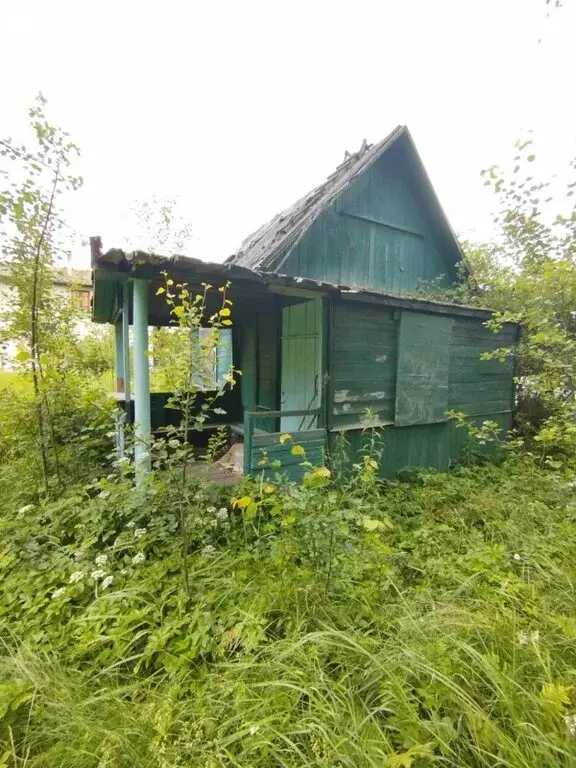 Участок в Брянский район, Чернетовское сельское поселение, деревня ... - Фото 0