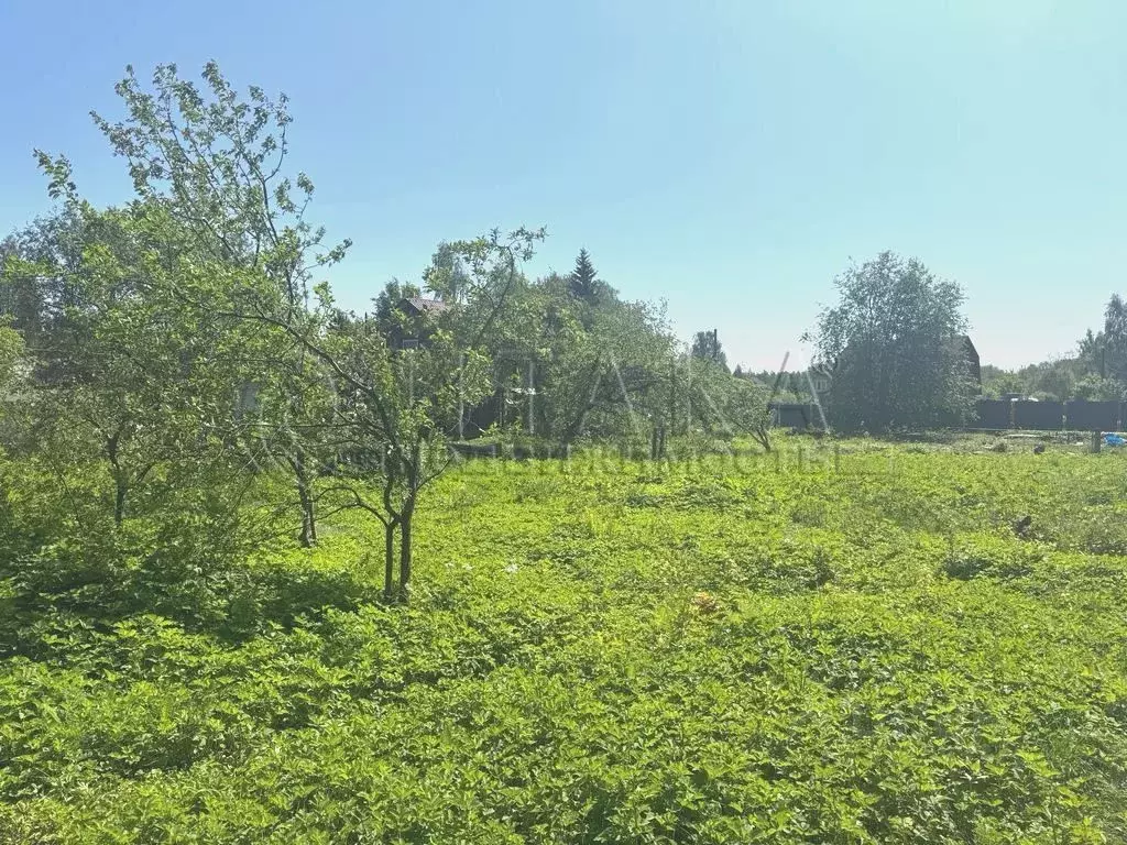 Участок в Ленинградская область, Всеволожский район, Морозовское ... - Фото 2