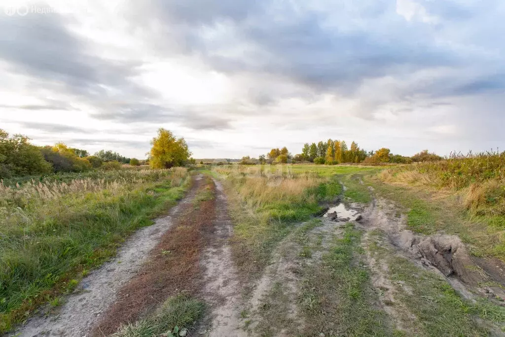 Участок в Вагайский район, деревня Криванкова (1720 м) - Фото 1