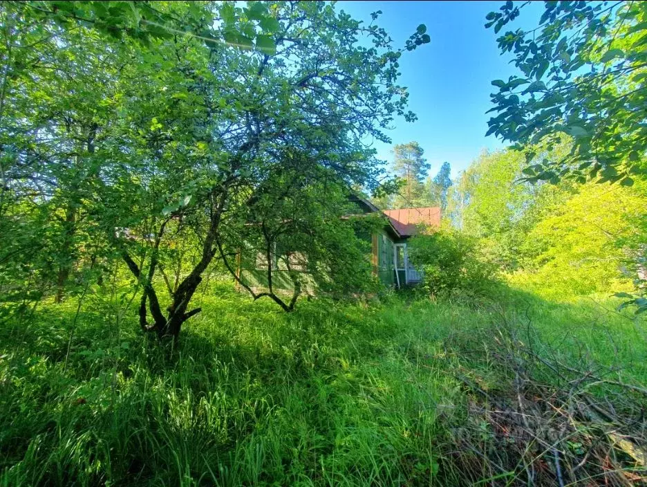 Дом в Ленинградская область, Гатчинский район, Вырица городской ... - Фото 0