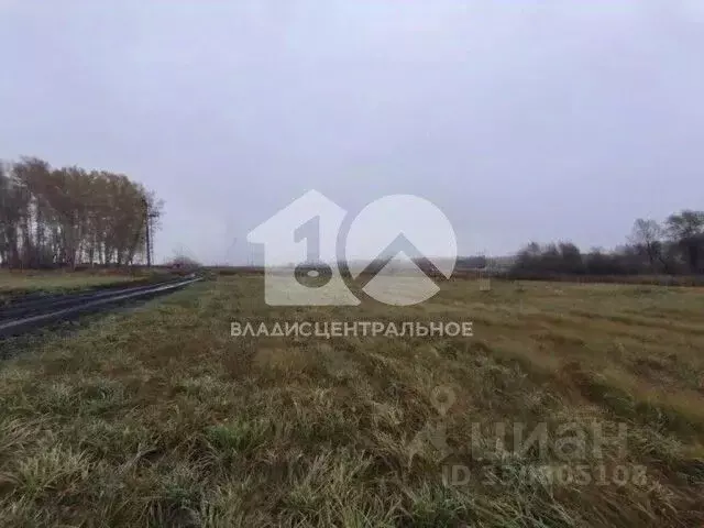 Участок в Новосибирская область, Новосибирский район, Верх-Тулинский ... - Фото 1