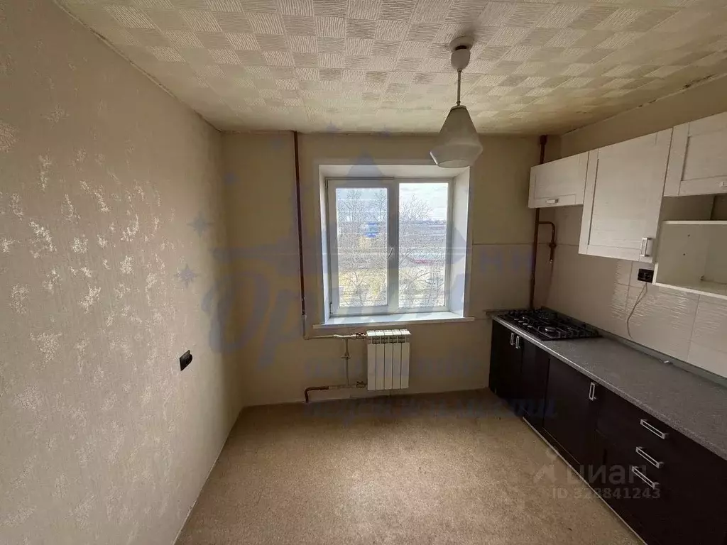 1-к кв. Нижегородская область, Заволжье г. Городецкий муниципальный ... - Фото 2