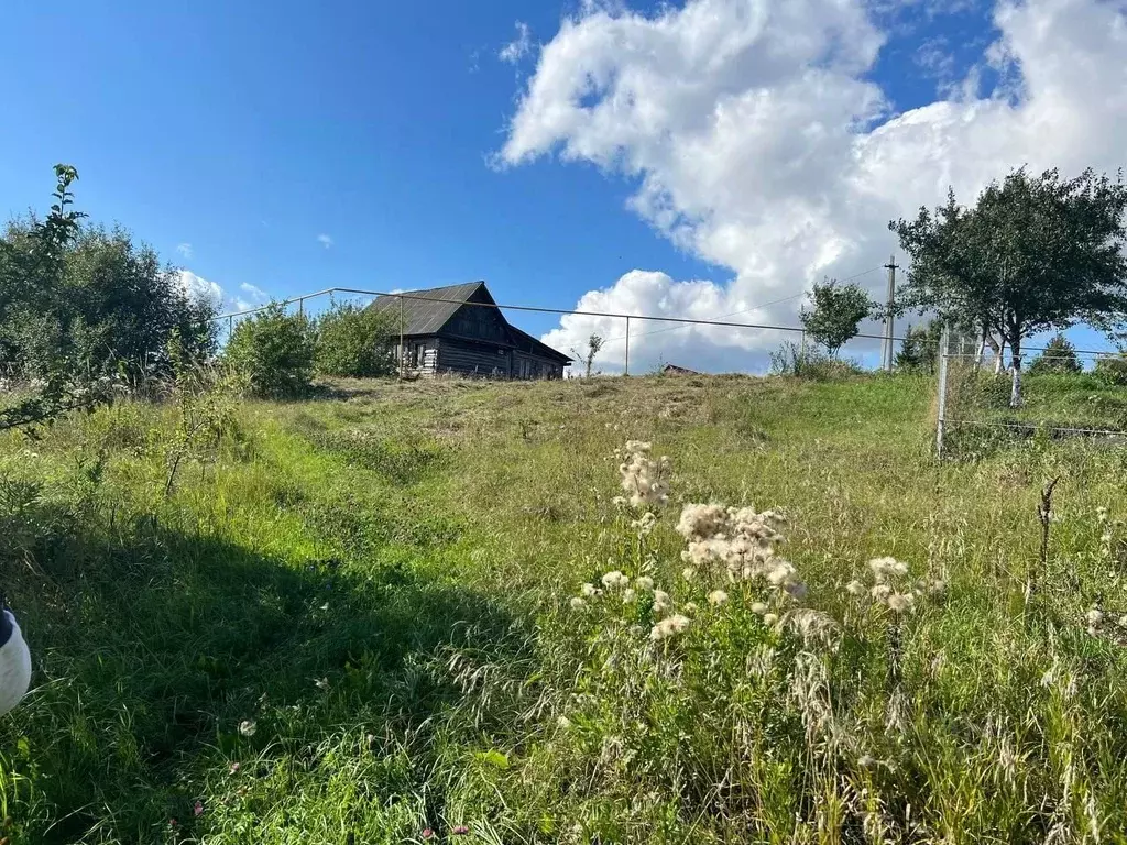 Участок в Мордовия, Саранск городской округ, с. Напольная Тавла ул. ... - Фото 0