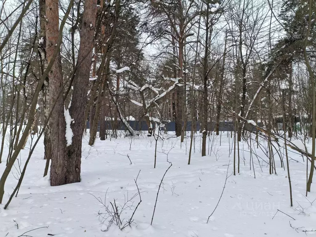 Участок в Москва ул. Камова, 31 (13.8 сот.) - Фото 2