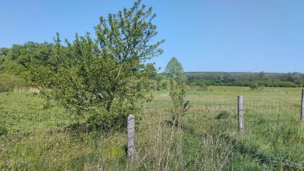 Участок в Белгородская область, Белгородский район, Пушкарское с/пос, ... - Фото 1
