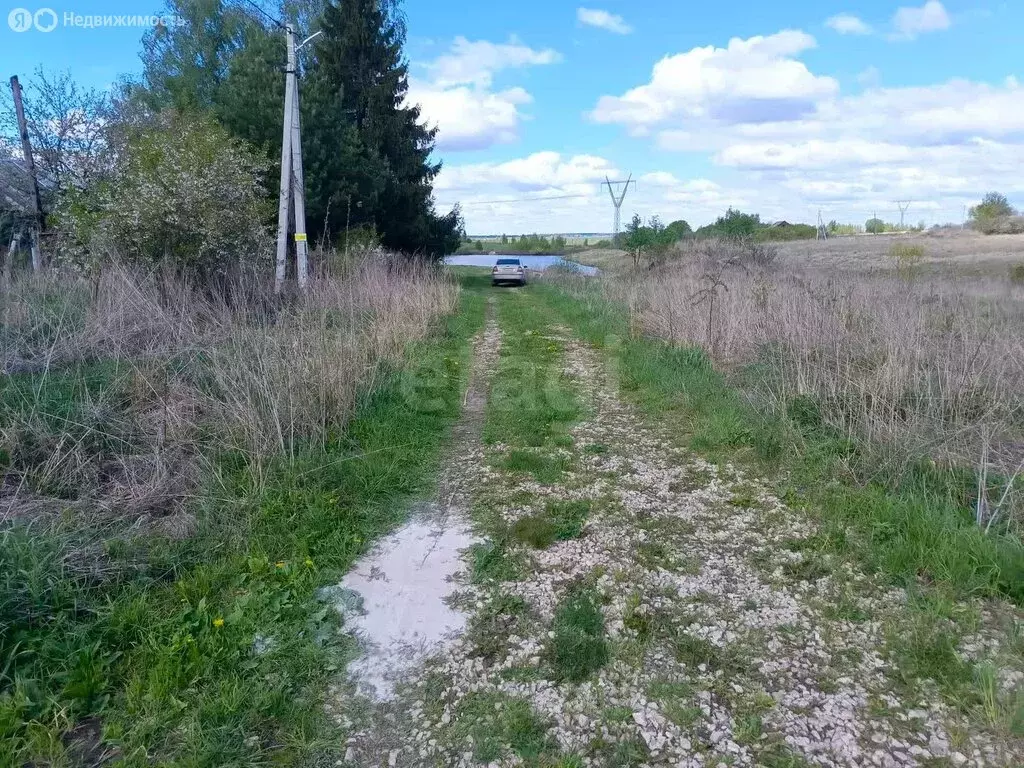 Участок в Киреевский район, сельское поселение Шварцевское, деревня ... - Фото 1