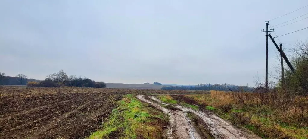 Участок в Краснодарский край, Северская ст-ца  (68.78 сот.) - Фото 1