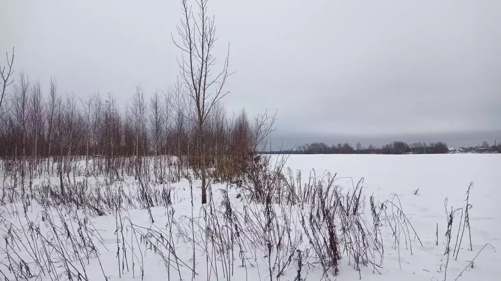 Участок в Московская область, Клин городской округ, д. Сметанино 4В ... - Фото 0