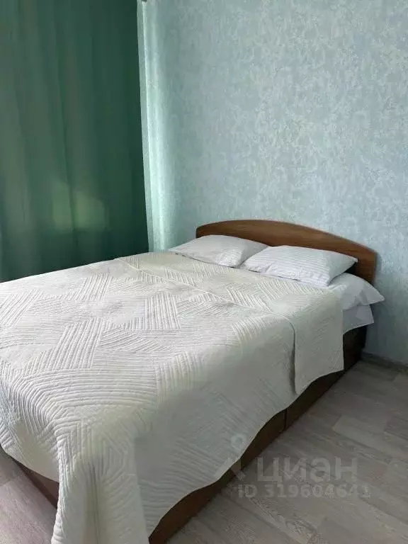 1-к кв. Еврейская автономная область, Биробиджан ул. Шалаева, 1 (42.0 ... - Фото 2