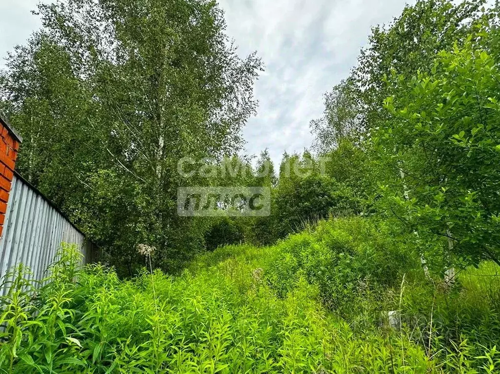 Участок в Московская область, Ступино городской округ, Станица ... - Фото 0