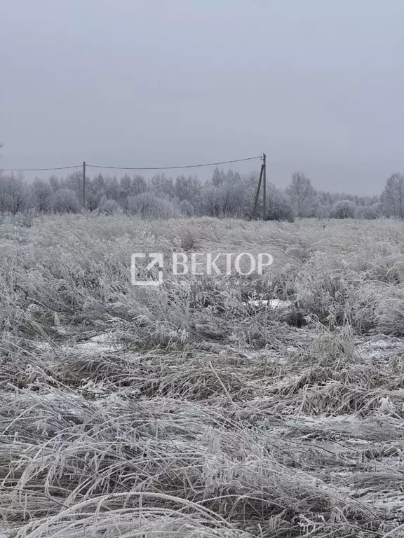 Участок в Костромская область, Кострома проезд Ситцевый (9.0 сот.) - Фото 0