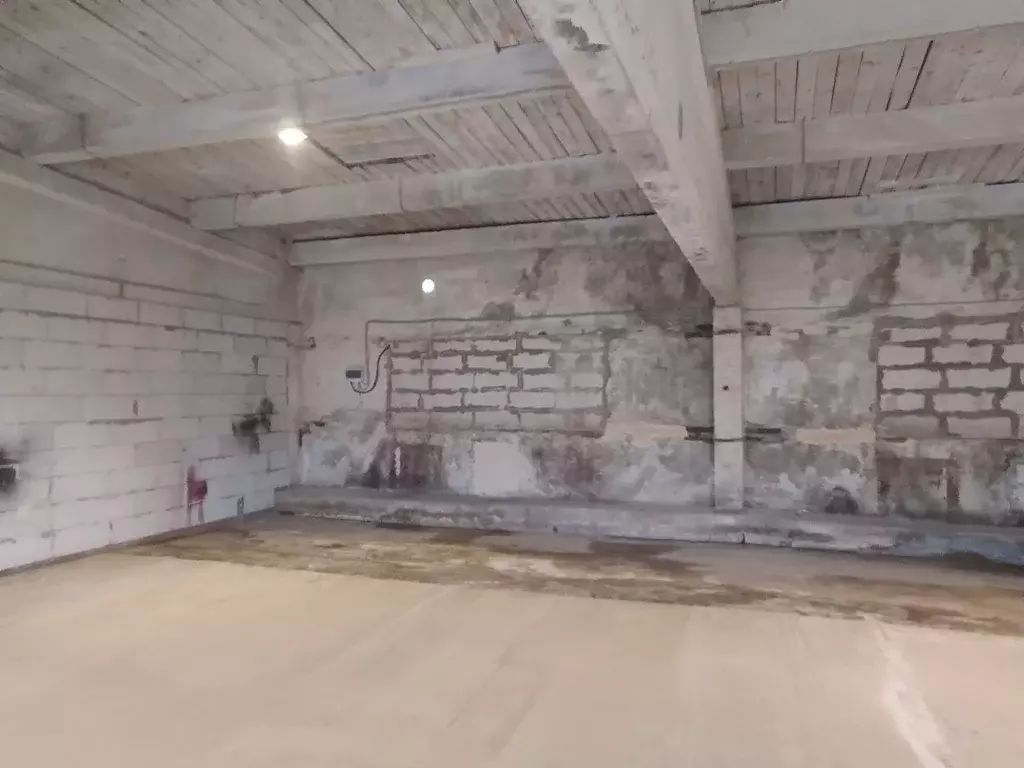 Помещение свободного назначения в Ленинградская область, Ломоносовский ... - Фото 2