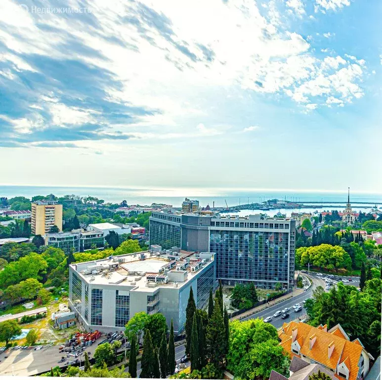 Квартира-студия: Сочи, микрорайон Центральный, улица Войкова, 27 (20.2 ... - Фото 1