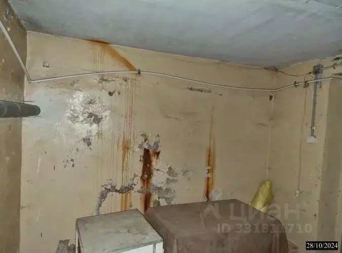 Помещение свободного назначения в Нижегородская область, Нижний ... - Фото 1