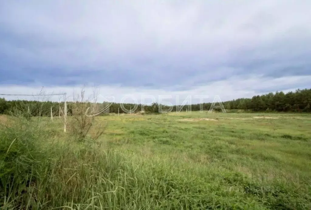 Участок в Тюменская область, Тюменский район, д. Криводанова  (51.2 ... - Фото 0