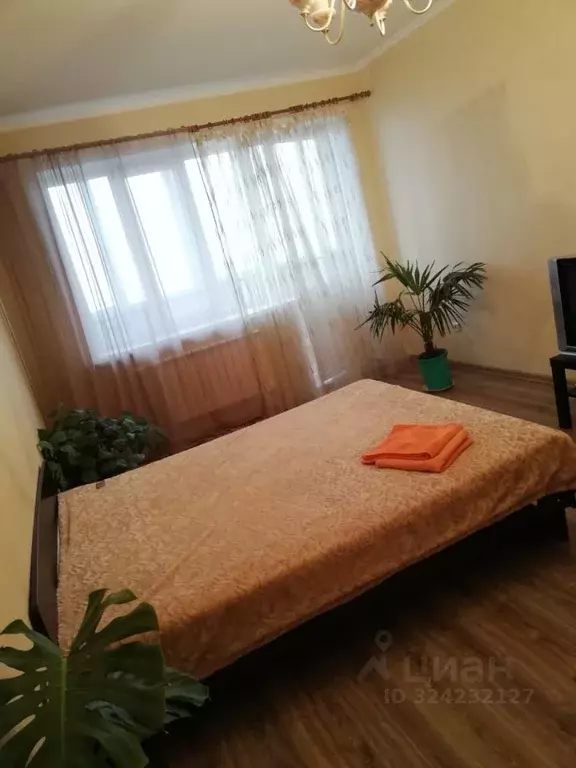 1-к кв. Липецкая область, Липецк просп. Победы, 103 (45.0 м) - Фото 2