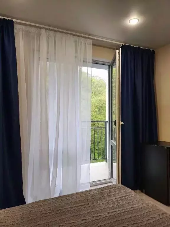 1-к кв. Краснодарский край, Сочи ул. Искры, 88к3 (28.0 м) - Фото 0